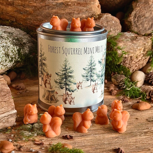 Little Forest Squirrel Mini Wax Melts