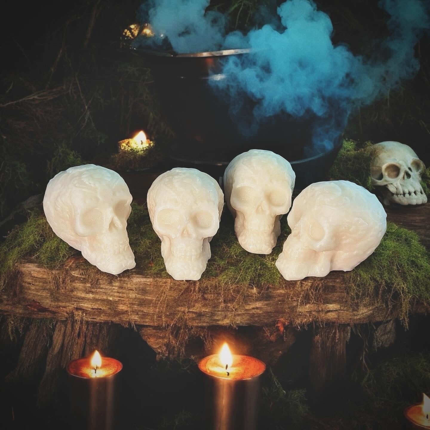 Bleeding Skulls Wax Melts (pack of 2)