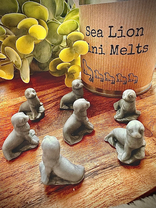 Sea Lion Mini Wax Melts