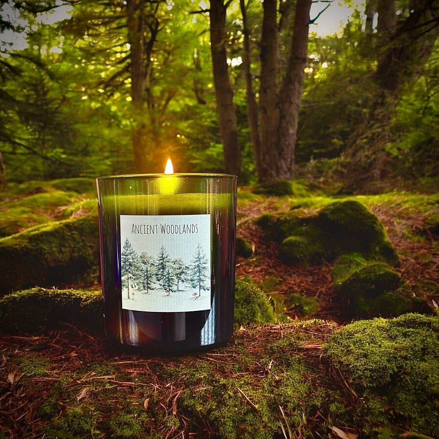 Ancient Woodland Cotton Wick Glass Candle 30cl