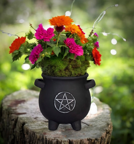 Cauldron Plant Pot