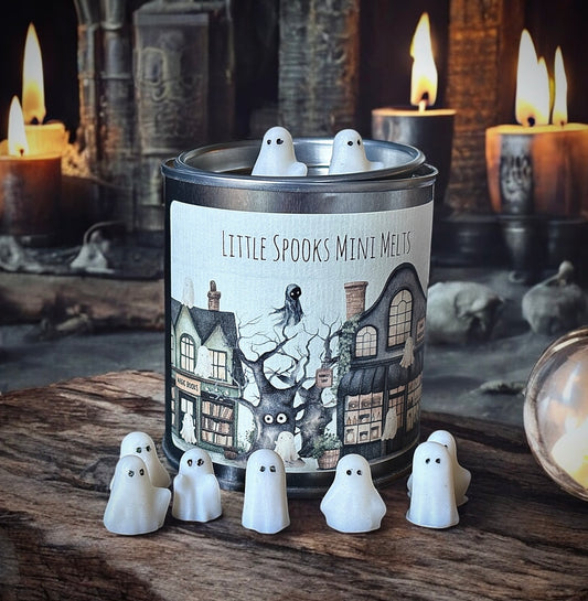 Little Spook Mini Wax Melts